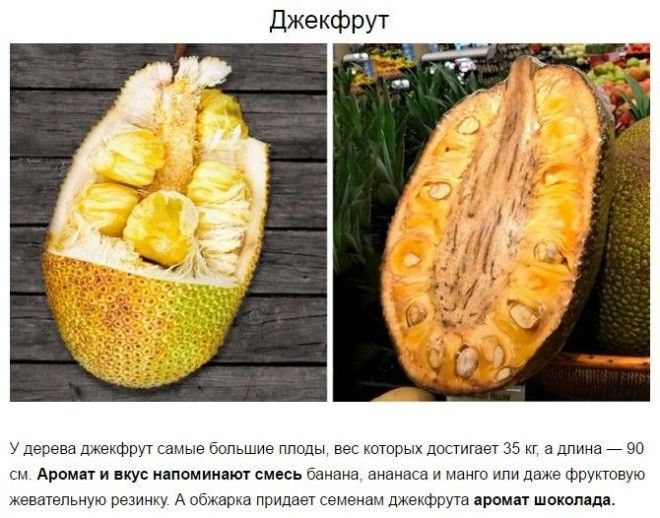 10 редчайших экзотических фруктов которые нужно попробовать хотя бы раз