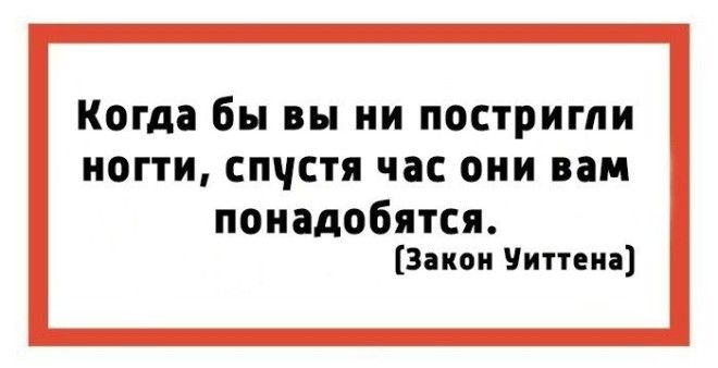 Законы подлости или 15 закономерностей жизни которые обязательно случаются