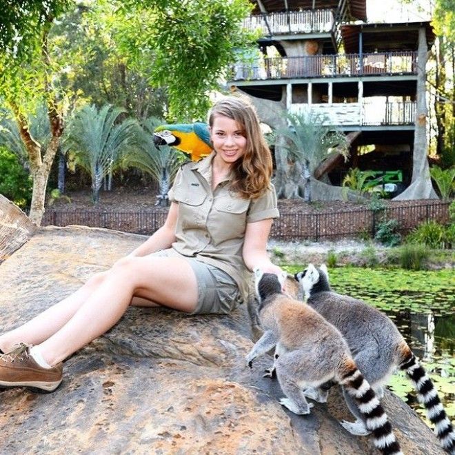 Картинки по запросу bindi irwin