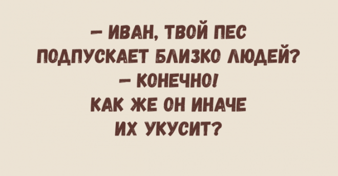 Изумительные анекдоты поднимающие настроение до невероятного уровня