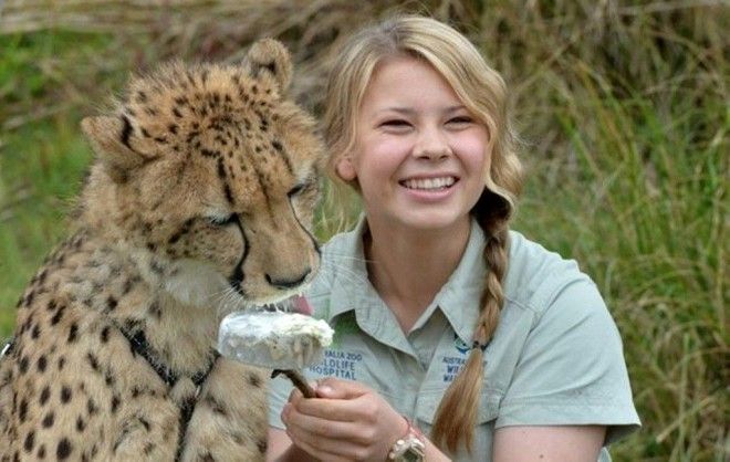 Картинки по запросу bindi irwin