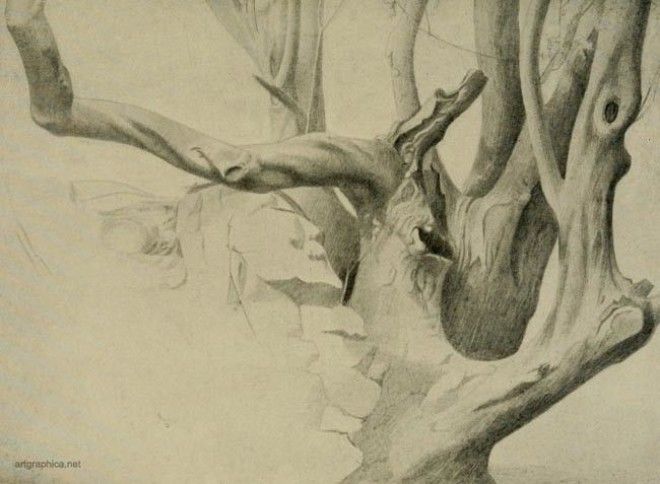 Картинки по запросу Unconscious drawing trees