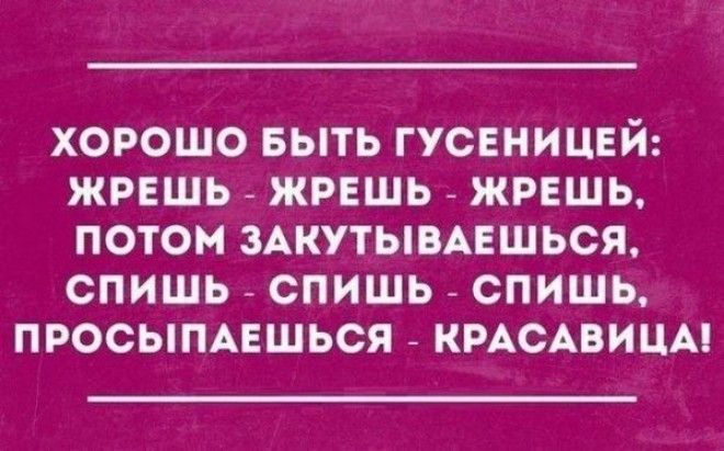 Подборка открыток от мастеров сарказма