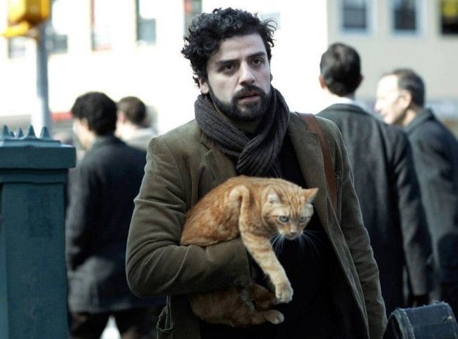 Vnutri Liuina Devisa Inside Llewyn Davis 2013