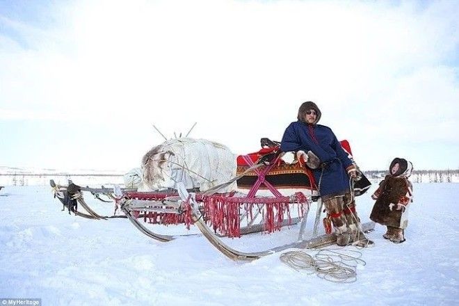 Жизнь на краю света Как живет сибирское племя ненцы в условиях лютого холод