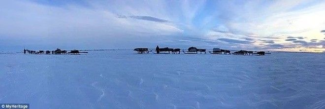 Жизнь на краю света Как живет сибирское племя ненцы в условиях лютого холод