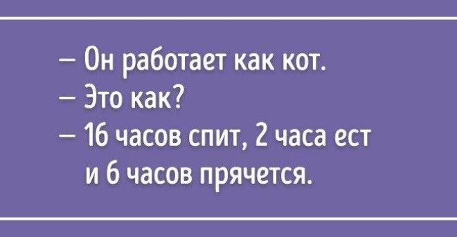 S15 анекдотичных историй про работу боссов и любимый коллектив