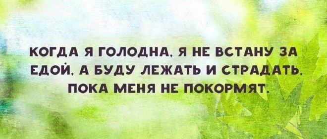 15 самых правдивых историй из жизни настоящих лентяев