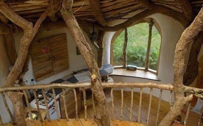 Мужчина создал жилье используя обломки и кору дерева Получилось гениально