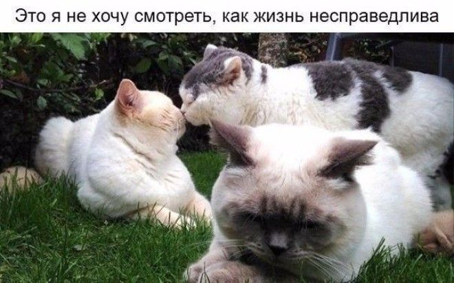 10 фото в которых вы узнаете себя а после посмеетесь