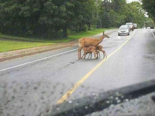 15 фото самых поразительных моментов из уголков планеты которые вас поразят