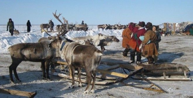 Древнее мастерство военного дела чукчей о котором вы не слышали