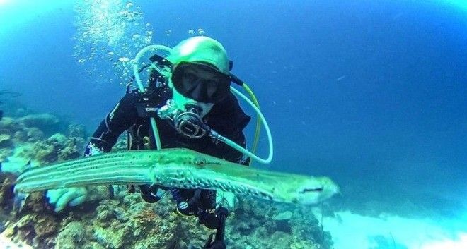 Селфи под водой интересное прикол селфи фото