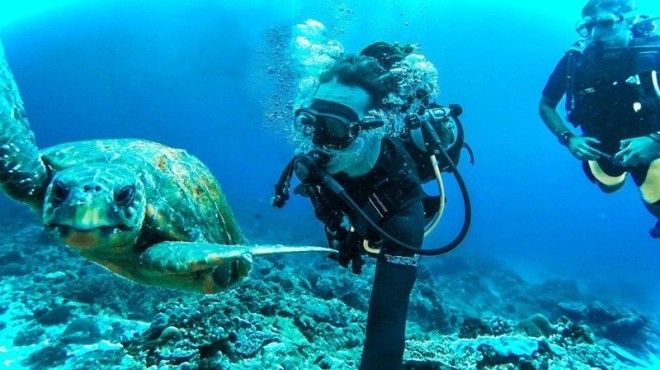 Селфи под водой интересное прикол селфи фото