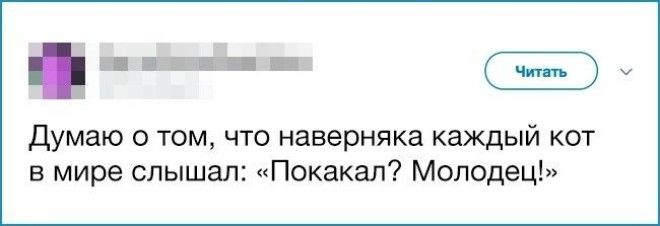 17 вещей которые делают абсолютно все но никогда это об этом не признаются