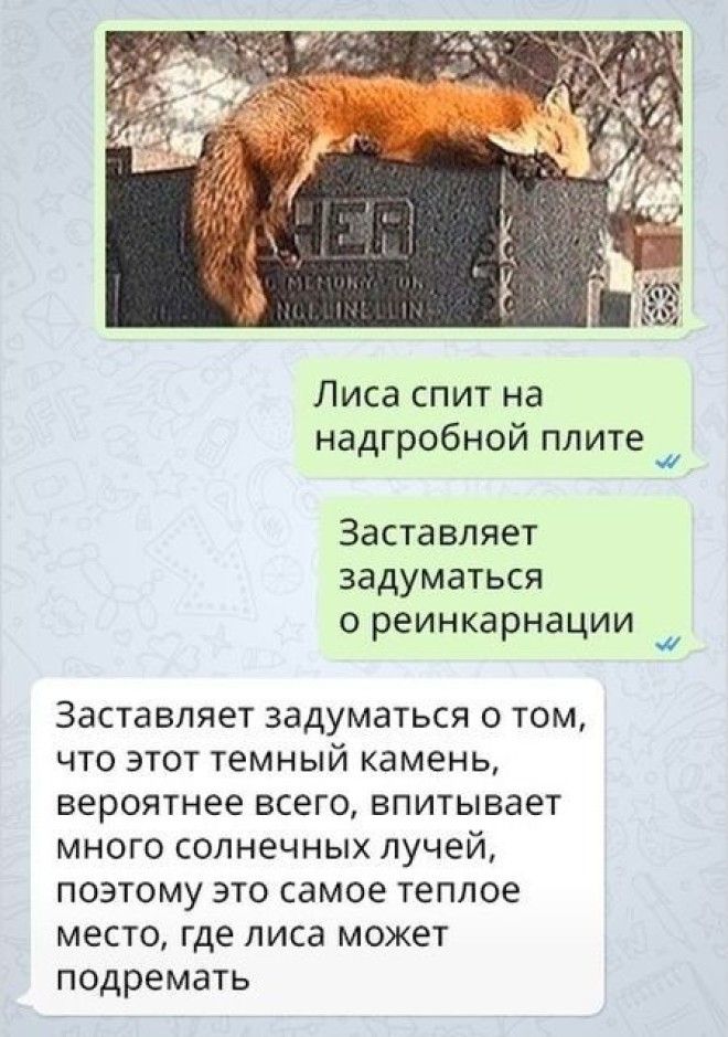 Женская логика непростая наука