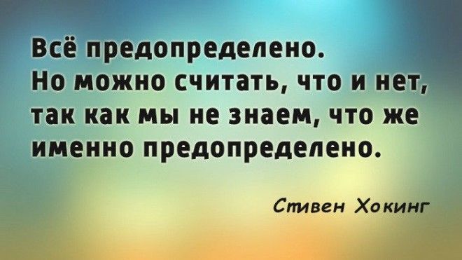 S20 цитат Стивена Хокинга человека который не сдавался и победил судьбу