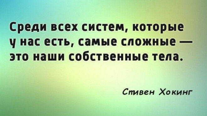 S20 цитат Стивена Хокинга человека который не сдавался и победил судьбу