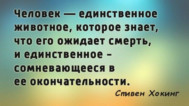 S20 цитат Стивена Хокинга человека который не сдавался и победил судьбу