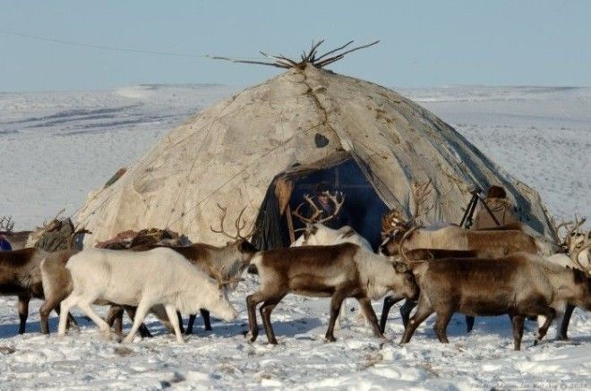 Так выглядит чум.