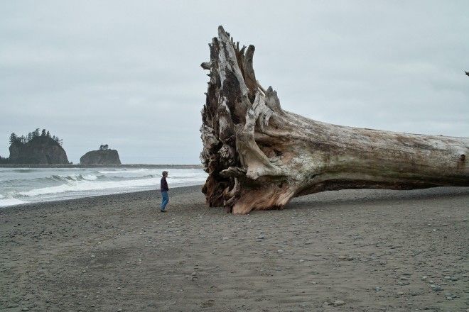  la push