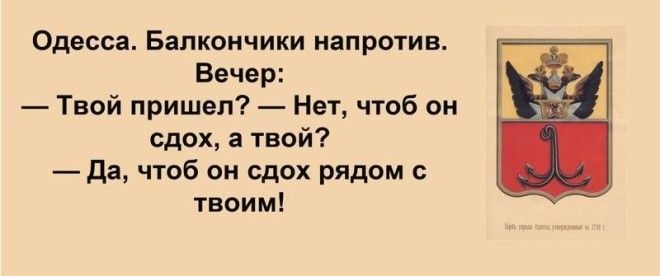 Сарочка, ви таки спите с Яшей? Анекдоты, прикол, юмор