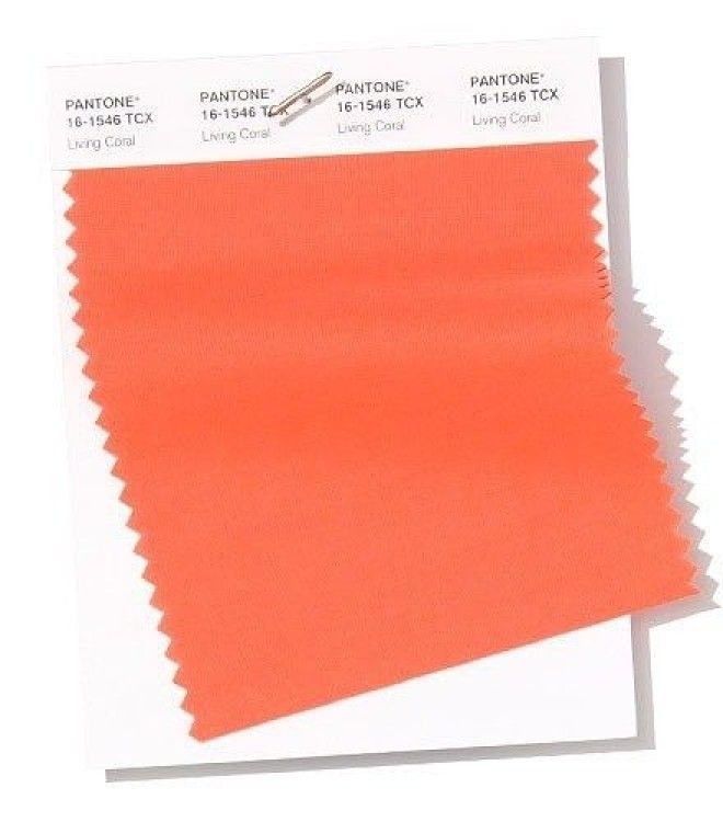 Институт цвета Pantone назвал главные модные цвета 2019 года