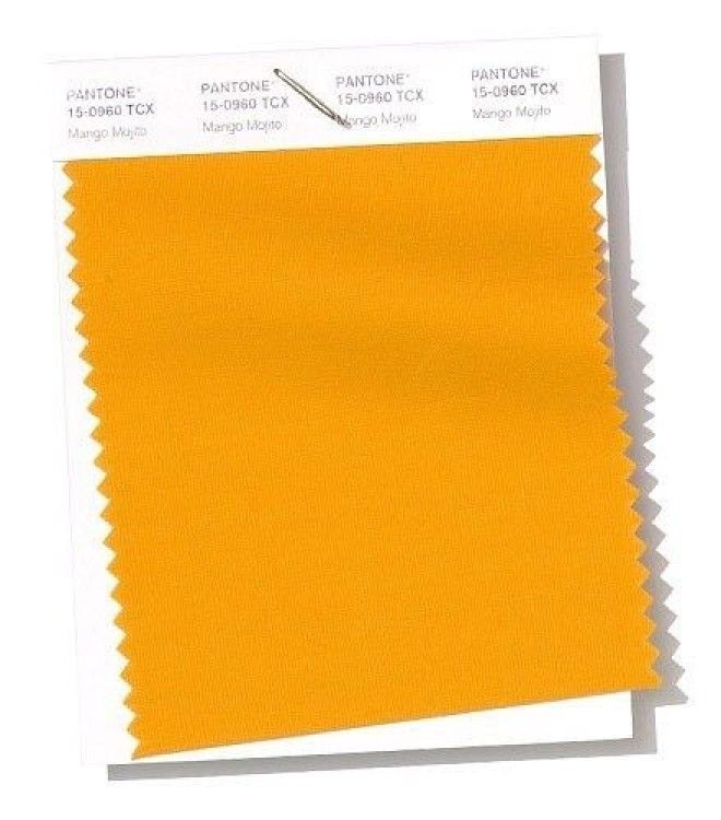 Институт цвета Pantone назвал главные модные цвета 2019 года