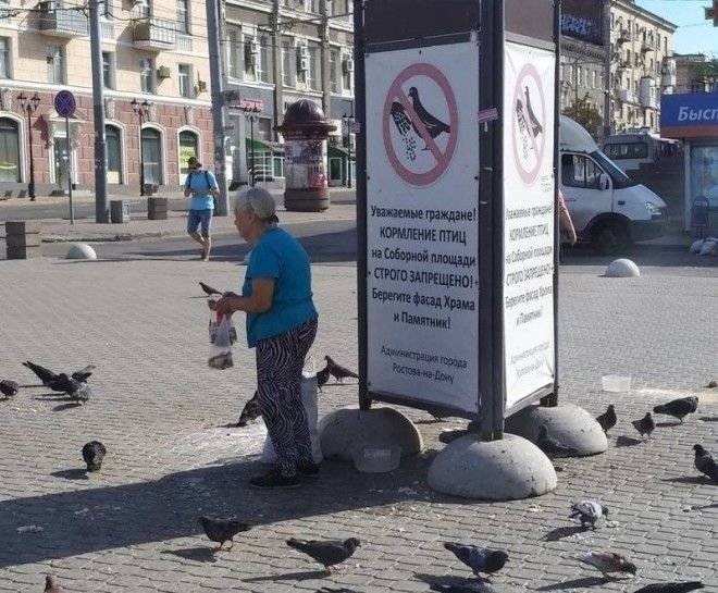 B19 бунтарей которые решили пойти против системы