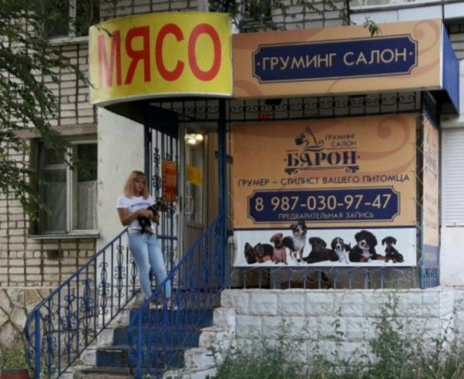 У нас нет плохих работ потому что по соседству есть мясной магазин