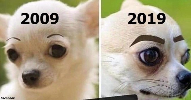 35   2009 vs 2019 