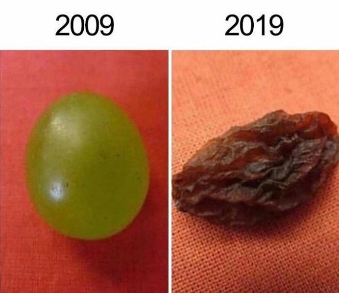 10YearChallenge самые смешные приколы лучшегого челленджа этого года