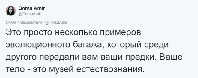 BАнтрополог рассказала какие органы у нас лишние и для чего они были нужны