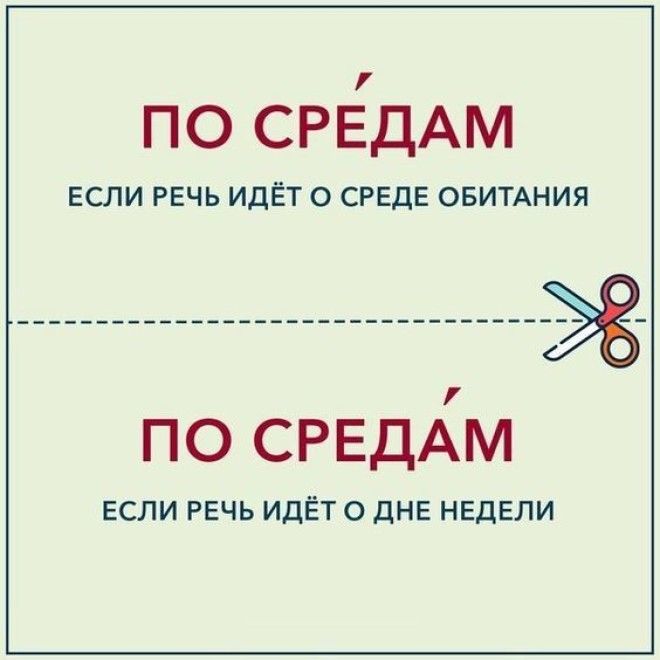 S13 пар слов которые грамотный человек ни за что не спутает