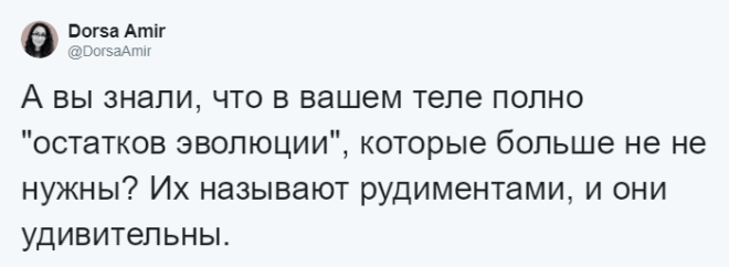 BАнтрополог рассказала какие органы у нас лишние и для чего они были нужны