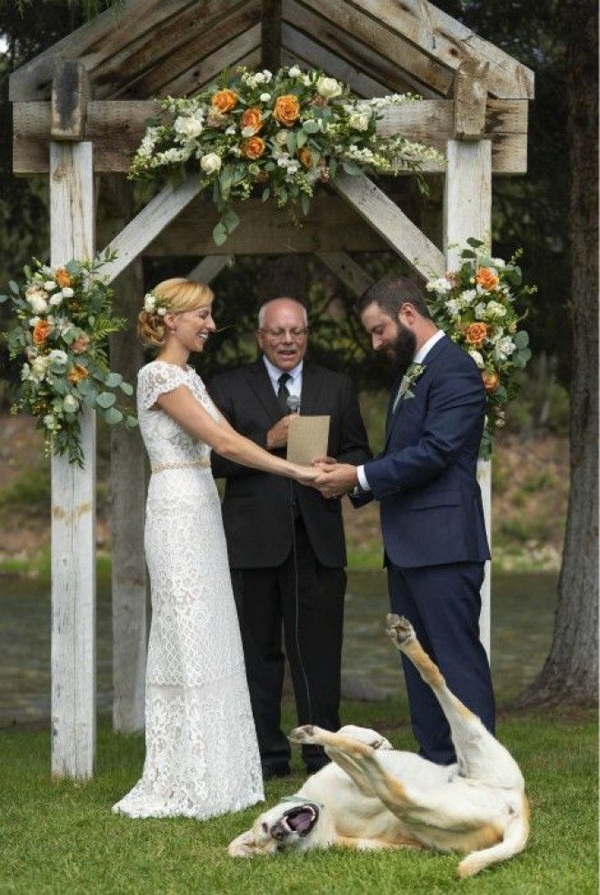 Безудержное веселье Фото Weddings Today