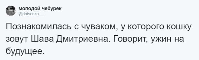 SЛюди рассказывают о мягко говоря странных кличках своих домашних питомцев