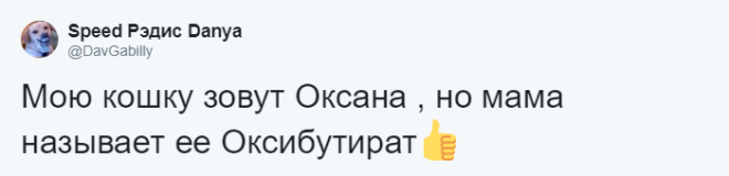 SЛюди рассказывают о мягко говоря странных кличках своих домашних питомцев