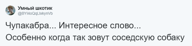 SЛюди рассказывают о мягко говоря странных кличках своих домашних питомцев