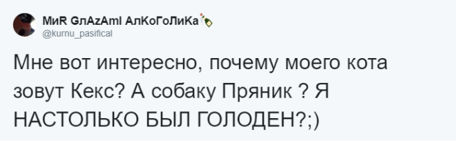 SЛюди рассказывают о мягко говоря странных кличках своих домашних питомцев