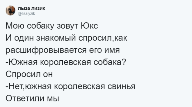 SЛюди рассказывают о мягко говоря странных кличках своих домашних питомцев