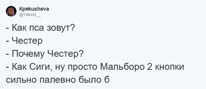 SЛюди рассказывают о мягко говоря странных кличках своих домашних питомцев