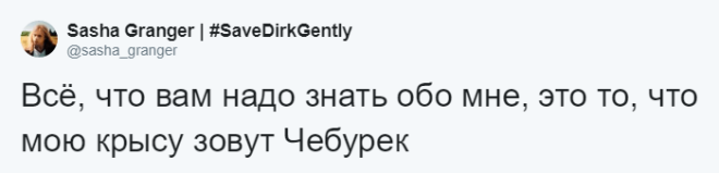 SЛюди рассказывают о мягко говоря странных кличках своих домашних питомцев