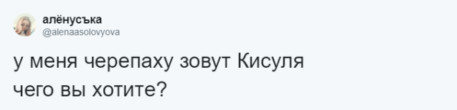 SЛюди рассказывают о мягко говоря странных кличках своих домашних питомцев