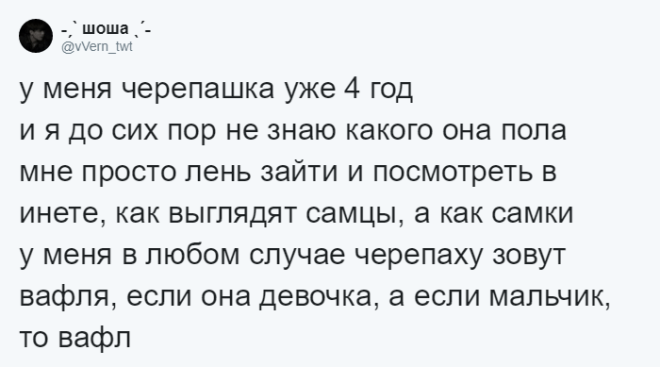 SЛюди рассказывают о мягко говоря странных кличках своих домашних питомцев