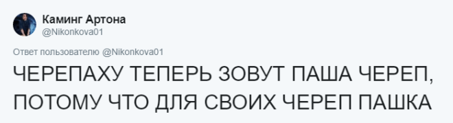 SЛюди рассказывают о мягко говоря странных кличках своих домашних питомцев