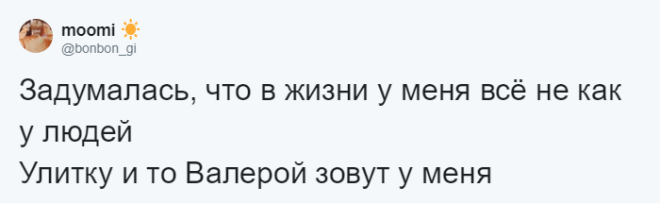 SЛюди рассказывают о мягко говоря странных кличках своих домашних питомцев