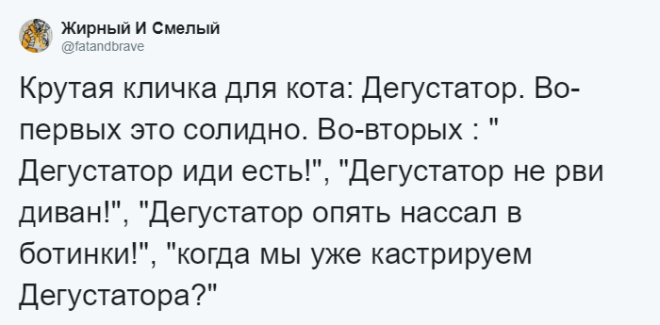 SЛюди рассказывают о мягко говоря странных кличках своих домашних питомцев