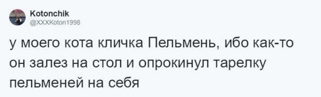 SЛюди рассказывают о мягко говоря странных кличках своих домашних питомцев