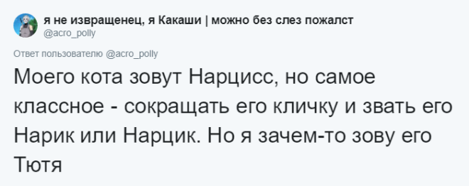 SЛюди рассказывают о мягко говоря странных кличках своих домашних питомцев